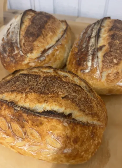 Little Silo Flower Farm & Farmstand