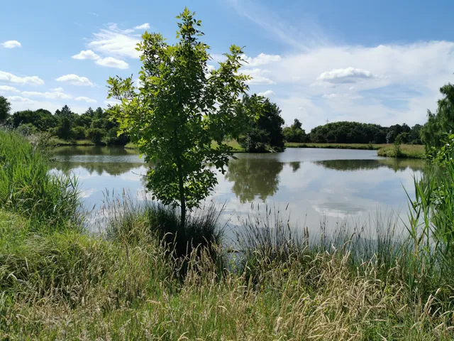 Réserve écologique des barails