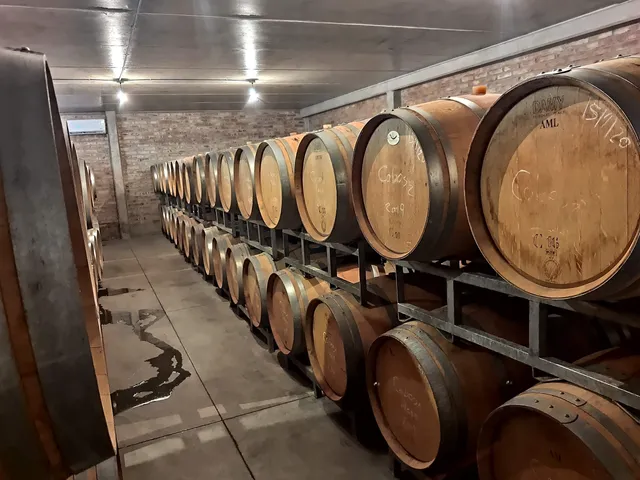 Philippe et Brigitte Subra