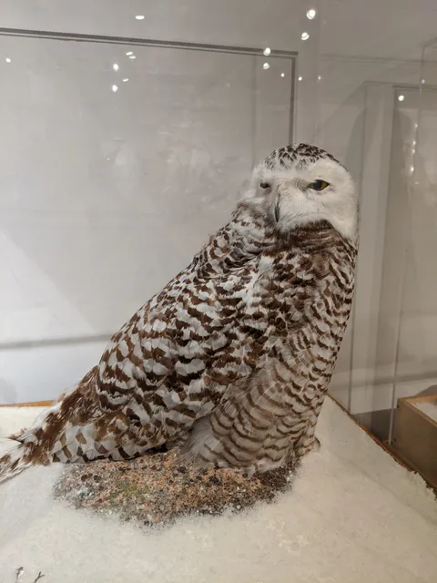 George B. Dorr Museum of Natural History