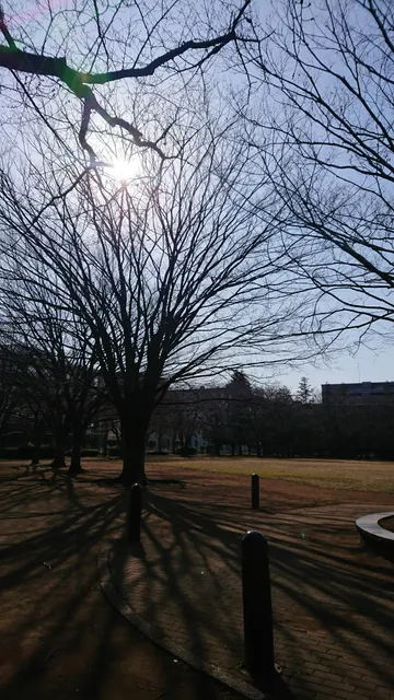 Minamikoshigaya Daiichi Park