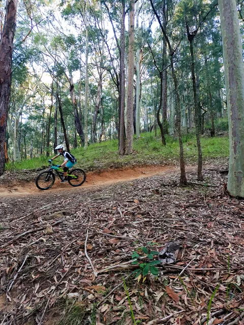 Awaba MTB Park
