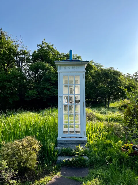 The phone of the wind