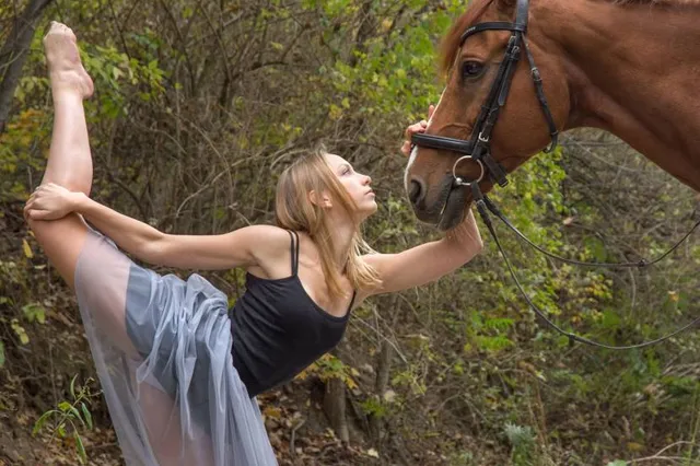 Enchanted Forest Pucon