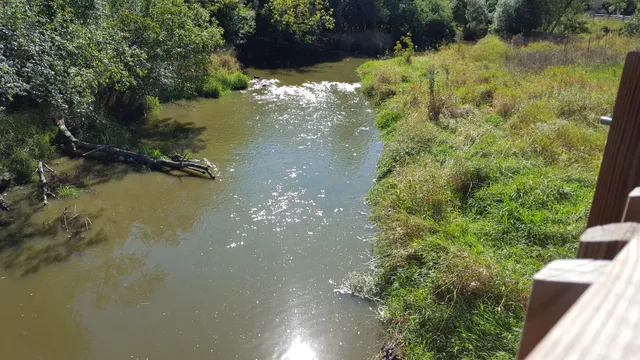 Grassy Lake Forest Preserve