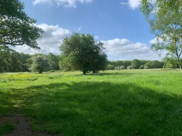Flitwick Moor & Folly Wood