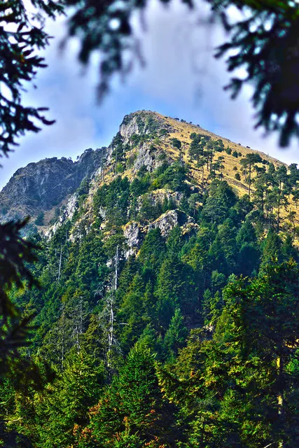 Pico del Águila