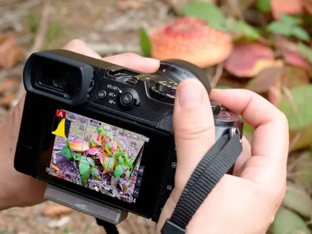 FLORA FANTASIA AMUSEMENT PARK