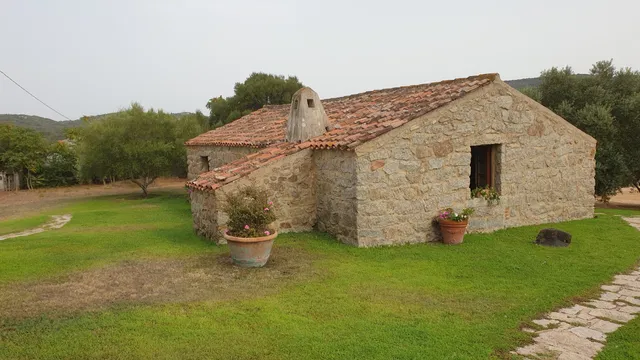 Vigneti Piero Mancini