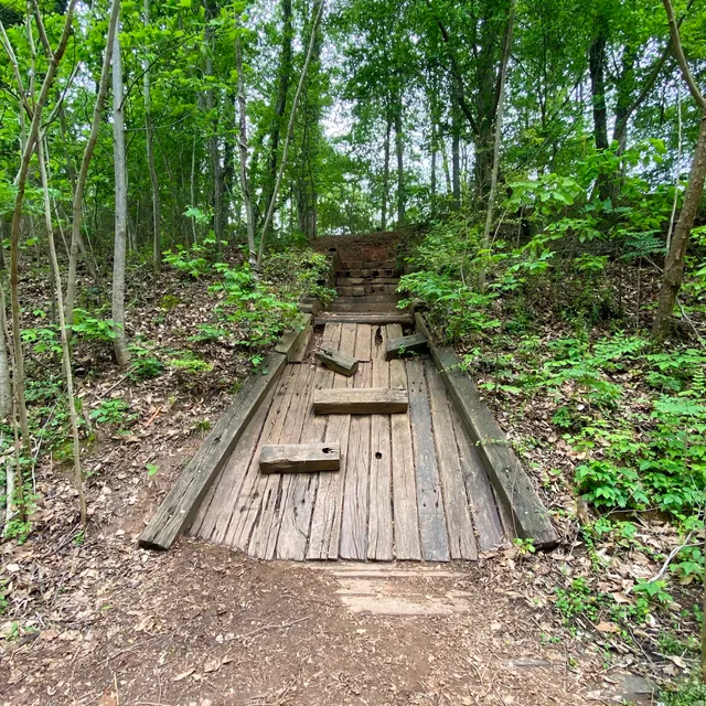 Carhartt Mansion Ruins