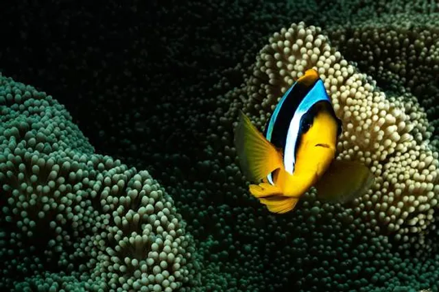 Takeshima Fantasy Museum