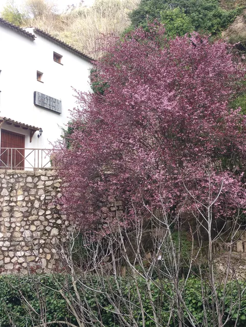 Centro Temático Frondosa Naturaleza