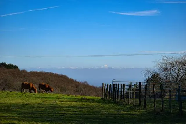 Col du Fût d'Avenas