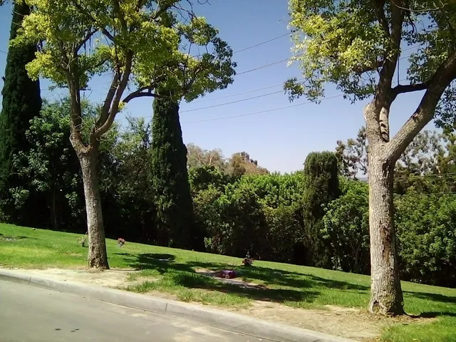 El Toro Memorial Park