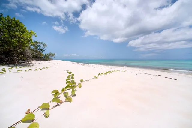 Malcolm's Road Beach