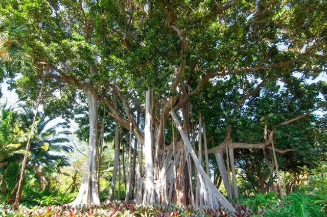 photo-3