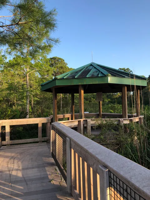 Kristin Jacobs Natural Area at Hillsboro Pineland