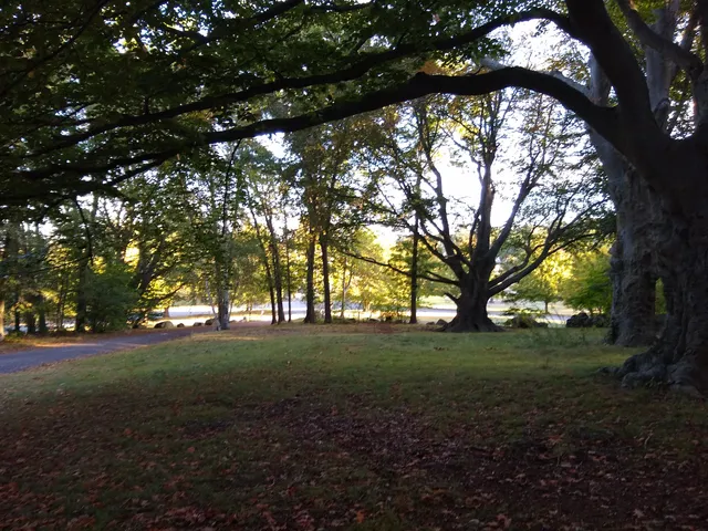 photo-1