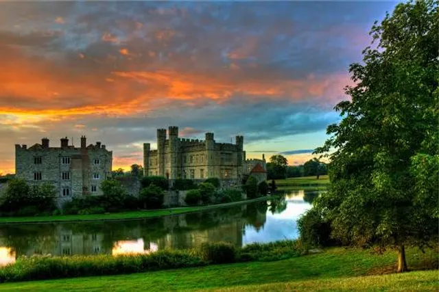 The Dog Collar Museum