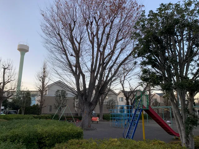 Shibakubo Daiichi Park