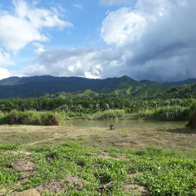 Batang Gadis National Park