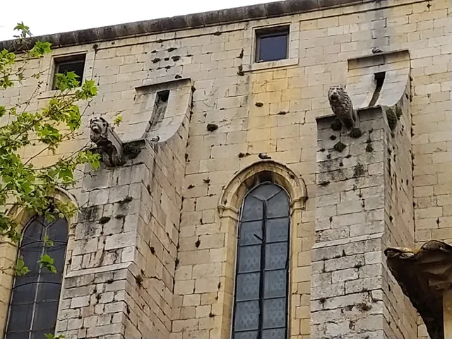 photo-3