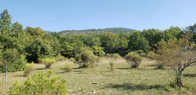 Parc Naturel Départemental de Roquevignon