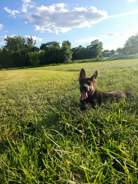 Lane Manor Community Park