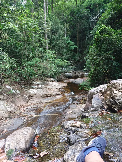 Gunung Ledang - Asahan Trail