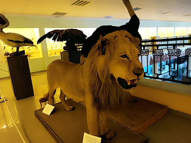 Natural History Museum of Istiaia