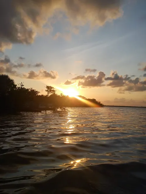 Horseshoe Crab Island