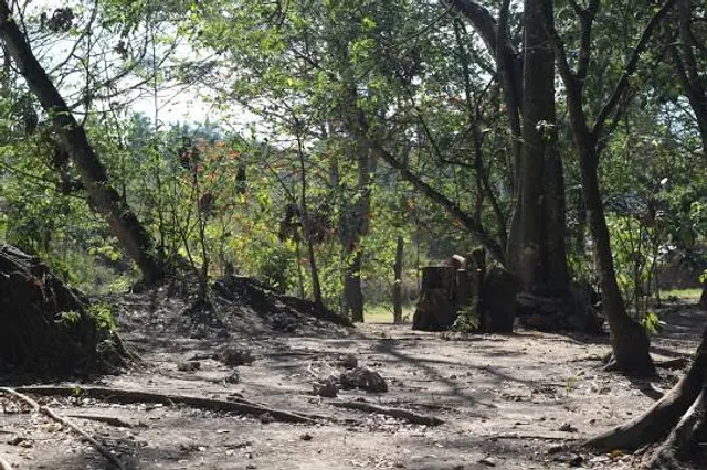 Parque Biologico de Vinhais