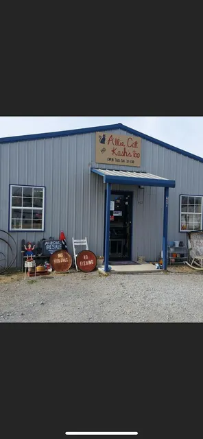 Alliecat Resale Shop