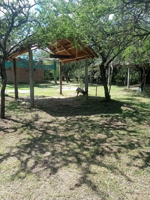 Cabañas "Bosquecito De Carpin"