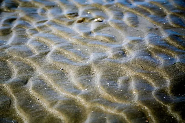 Presque Isle: Beach 10 Budny