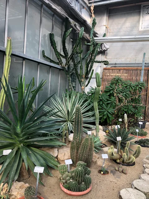 Les Serres Botaniques