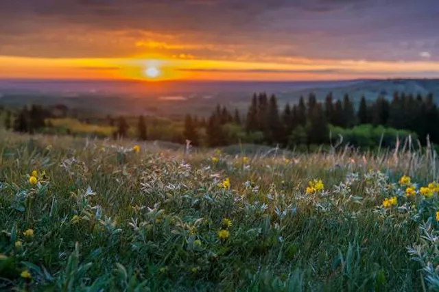 Cypress Hills Interprovincial Park - Saskatchewan