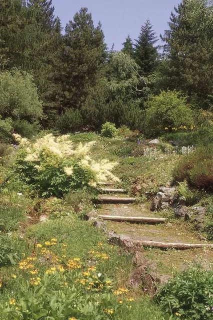 Monte Pietra di Corvo (o Pietra Corva)