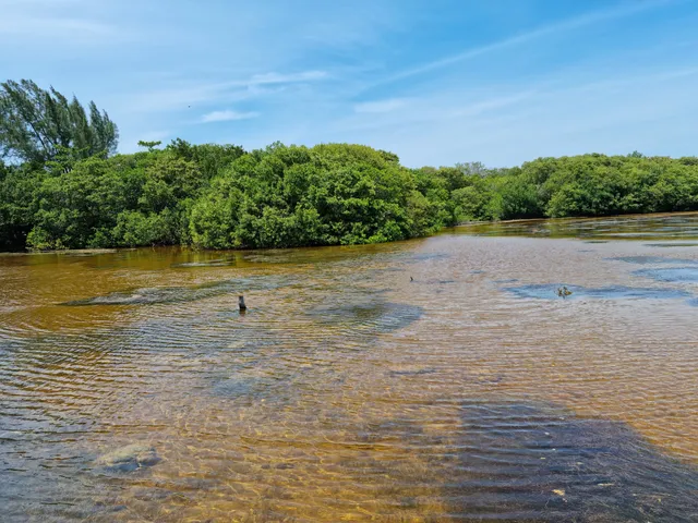 Mirador Charcas de Sisal