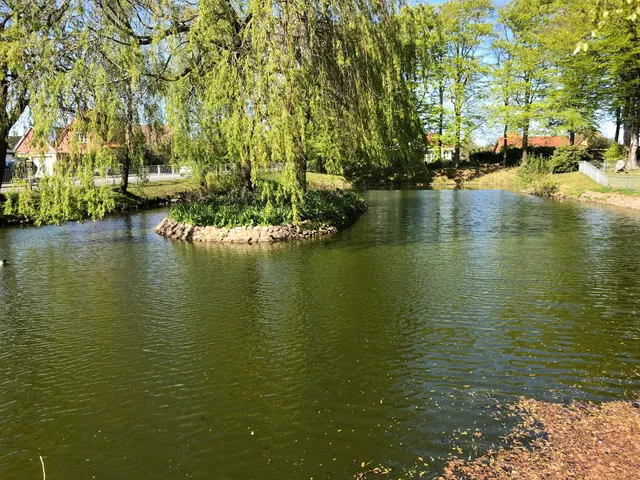 photo-1