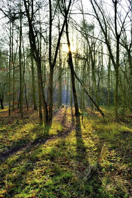 Irchester Country Park