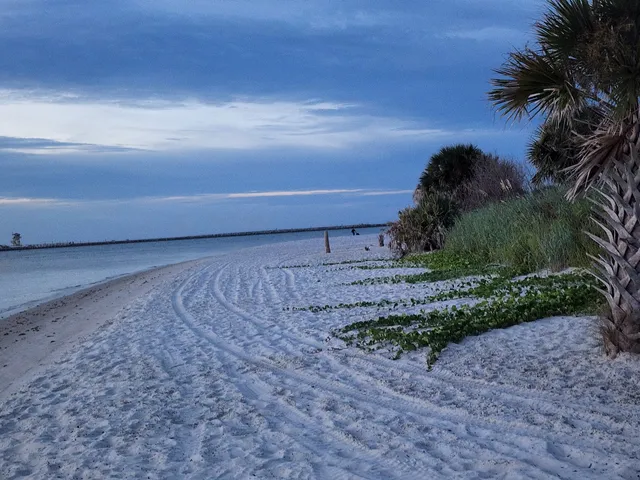 New Smyrna Dunes Dog Beach