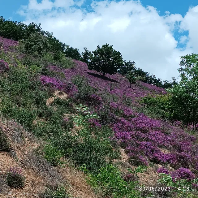 Espace naturel sensible des Landes de Péraclos
