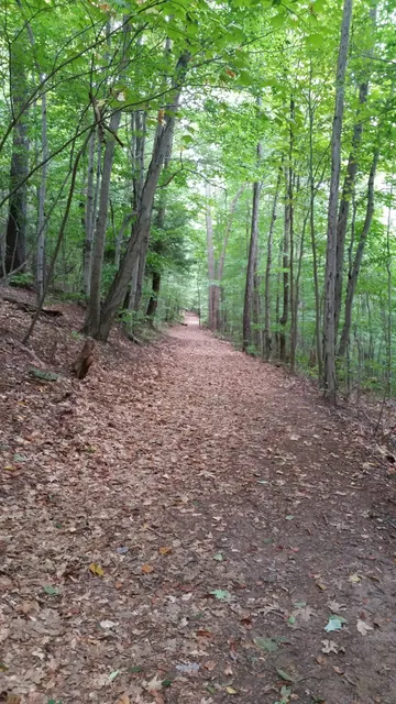 Walnut Mountain Park