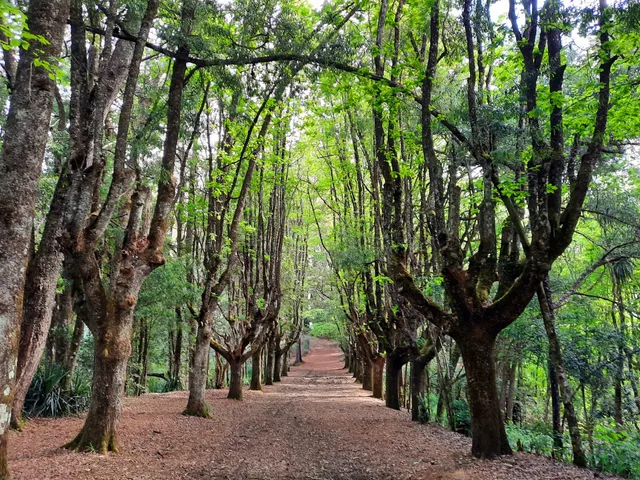 Cerro Santa Laura Park