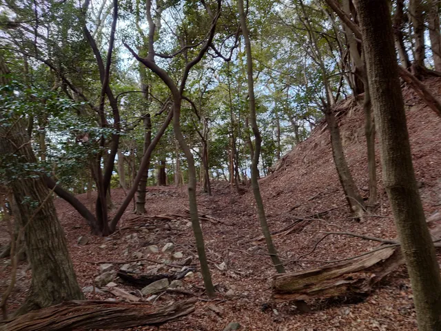 Ancient Tatsuno Castle ruins
