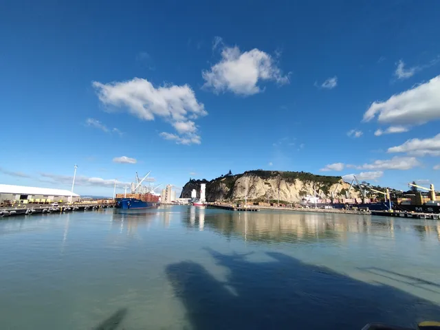 Napier Port