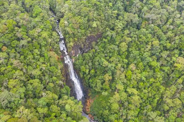 Tawai Rainforest Camp