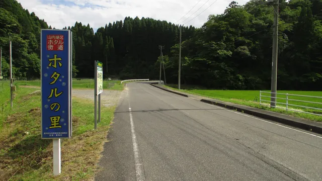 Yamauchi Firefly Habitat