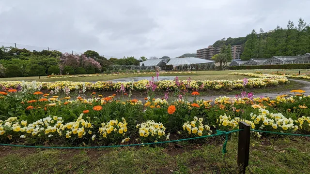 Hibiya Kadan Ofuna Flower Center Ofuna Botanical Gardens